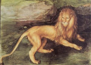 durer_s_lion